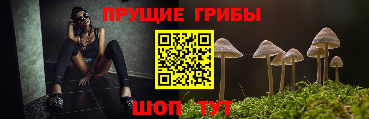 Псилоцибиновые грибы ЛСД Печора