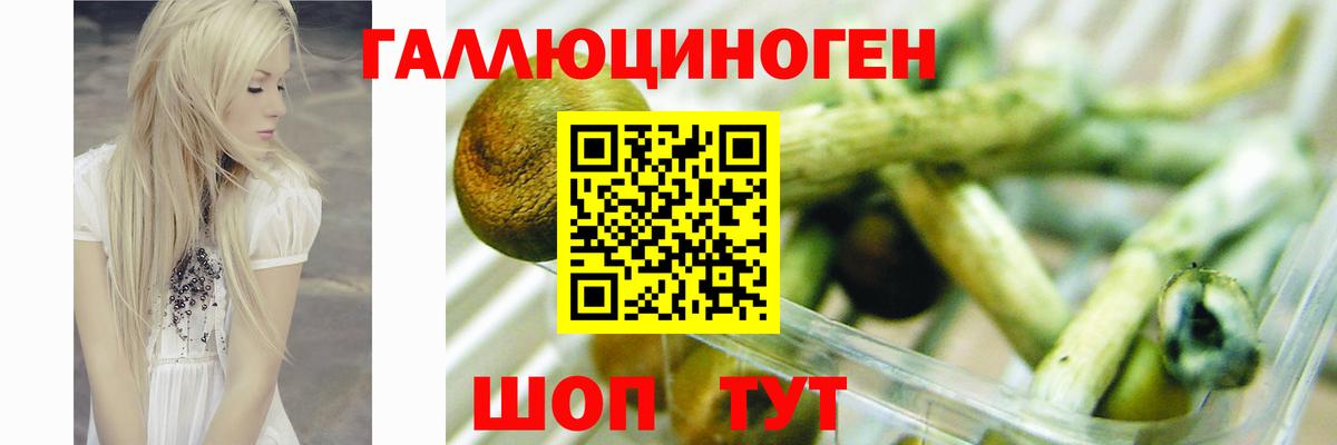 Псилоцибиновые грибы мухоморы  Галлюциногенные грибы GOLDEN TEACHER  Вход с VPN  Печора 